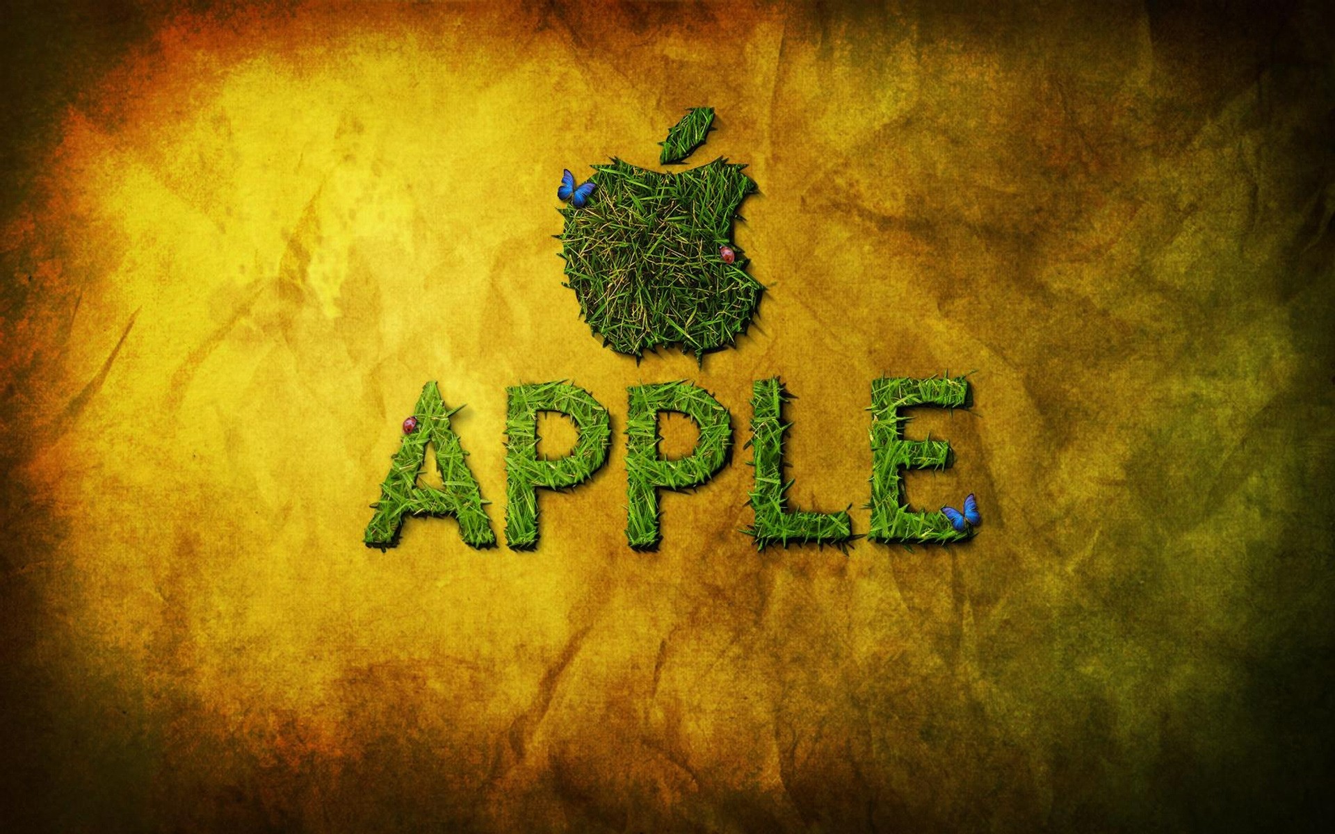 apple носить бумага текстура ретро винтаж искусство иллюстрация рабочего стола пергамент античная грязные старый страницы логотип apple логотип apple