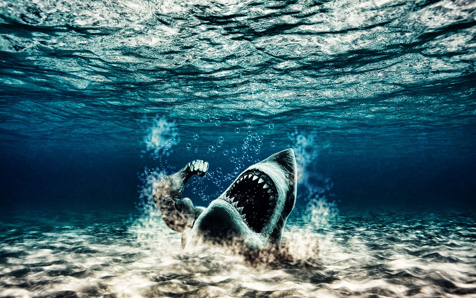 фотообработка воды океан море подводный путешествия природа морской плавание пейзаж мышцы фон