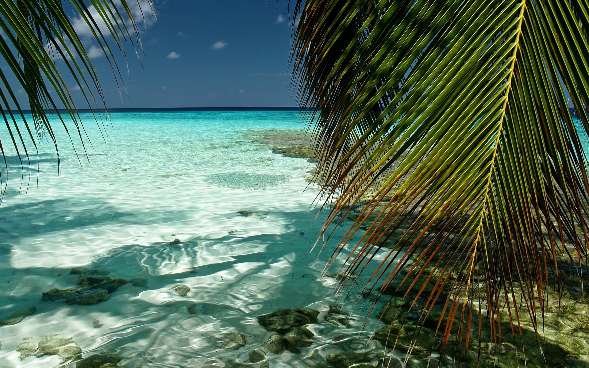 пейзажи тропический воды пляж путешествия океан лето моря море бирюза остров отпуск песок солнце рай курорт небо идиллия хорошую погоду экзотические каафу мальдивы индийский океан листва пейзаж