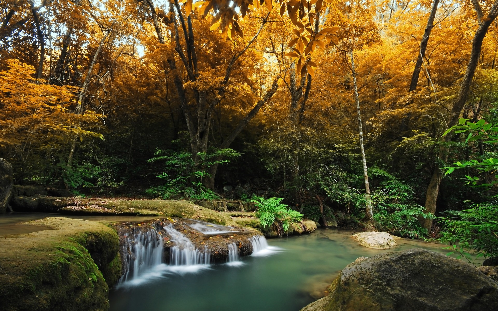 пейзажи древесины осень лист воды природа дерево пейзаж на открытом воздухе река живописный парк поток пышные путешествия среды водопад пейзажи крик лес осенний пейзаж дикие места