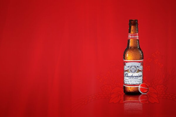 Пиво Budweiser на красном стильном фоне