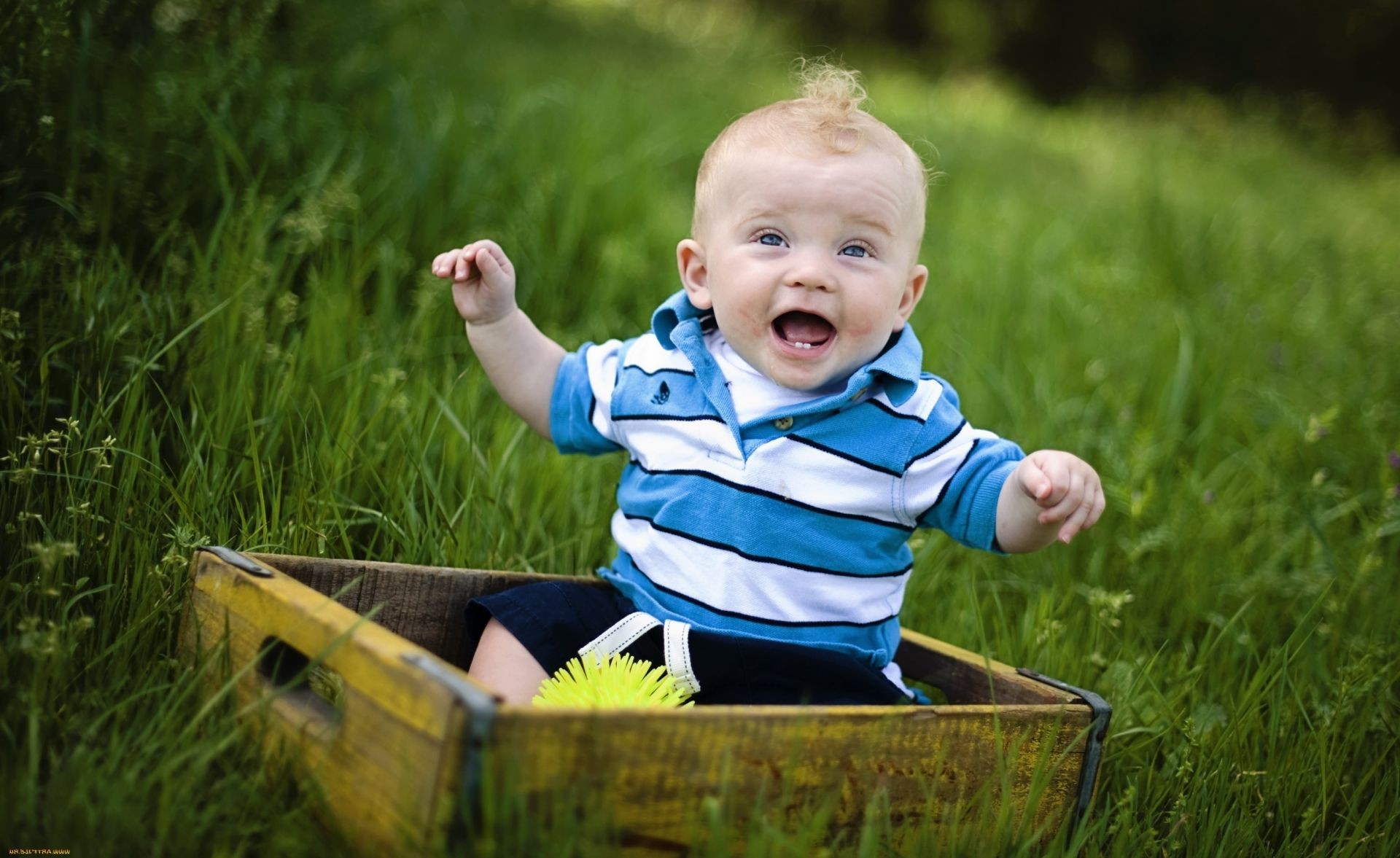 смеющиеся дети ребенок трава мало милые удовольствие природа на открытом воздухе лето отдых радость парк сидеть сенокос ребенок удовольствия