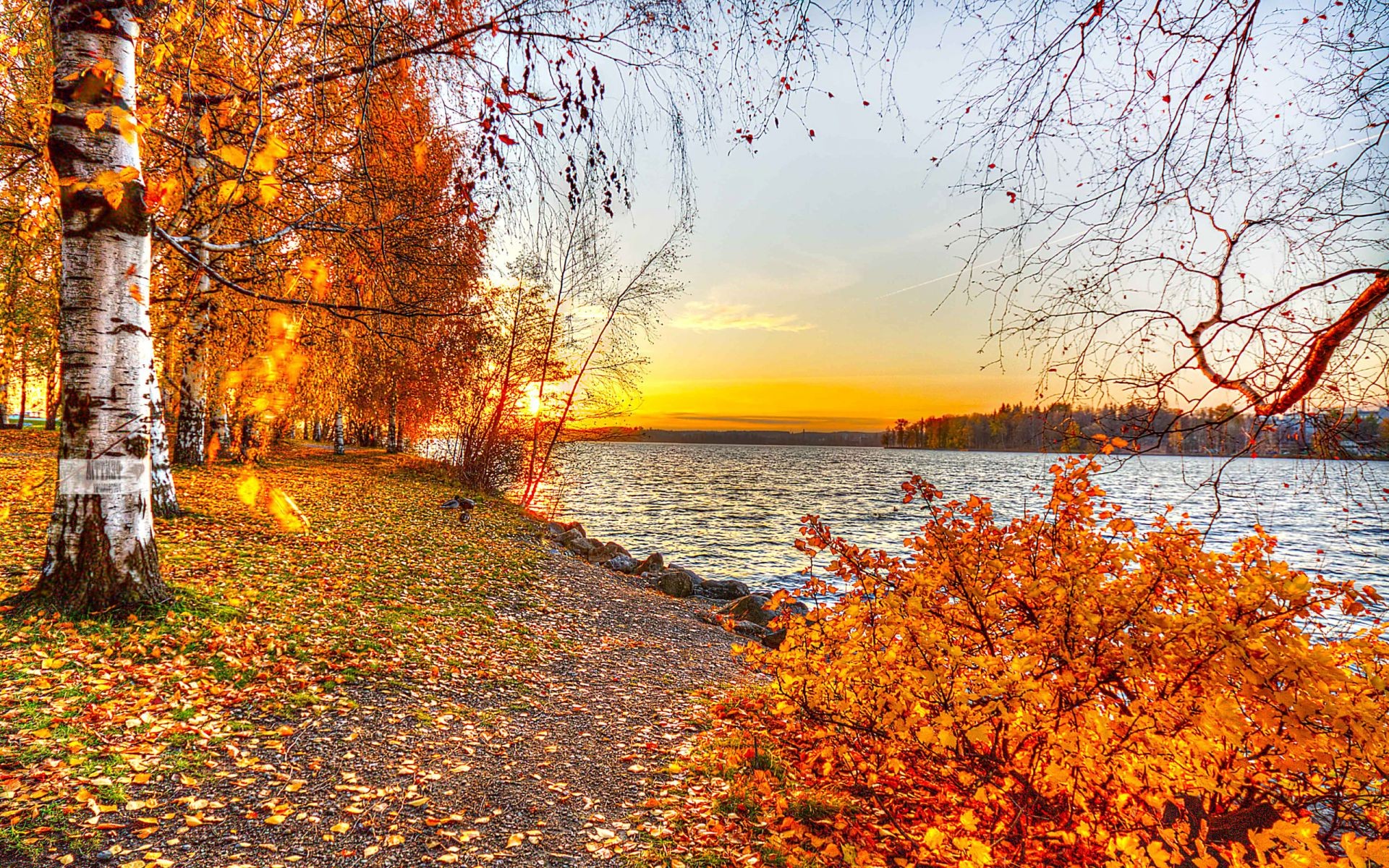 закат и рассвет осень лист сезон дерево кленовый парк пейзаж природа древесины живописный филиал золото хорошую погоду сцена пейзажи на открытом воздухе цвет