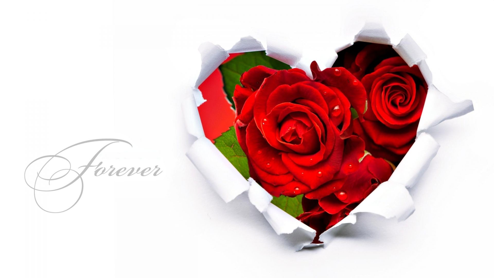 розы романтика подарок любовь юбилей романтический цветок лепесток свадьба день рождения праздник букет брак цветочные блюминг