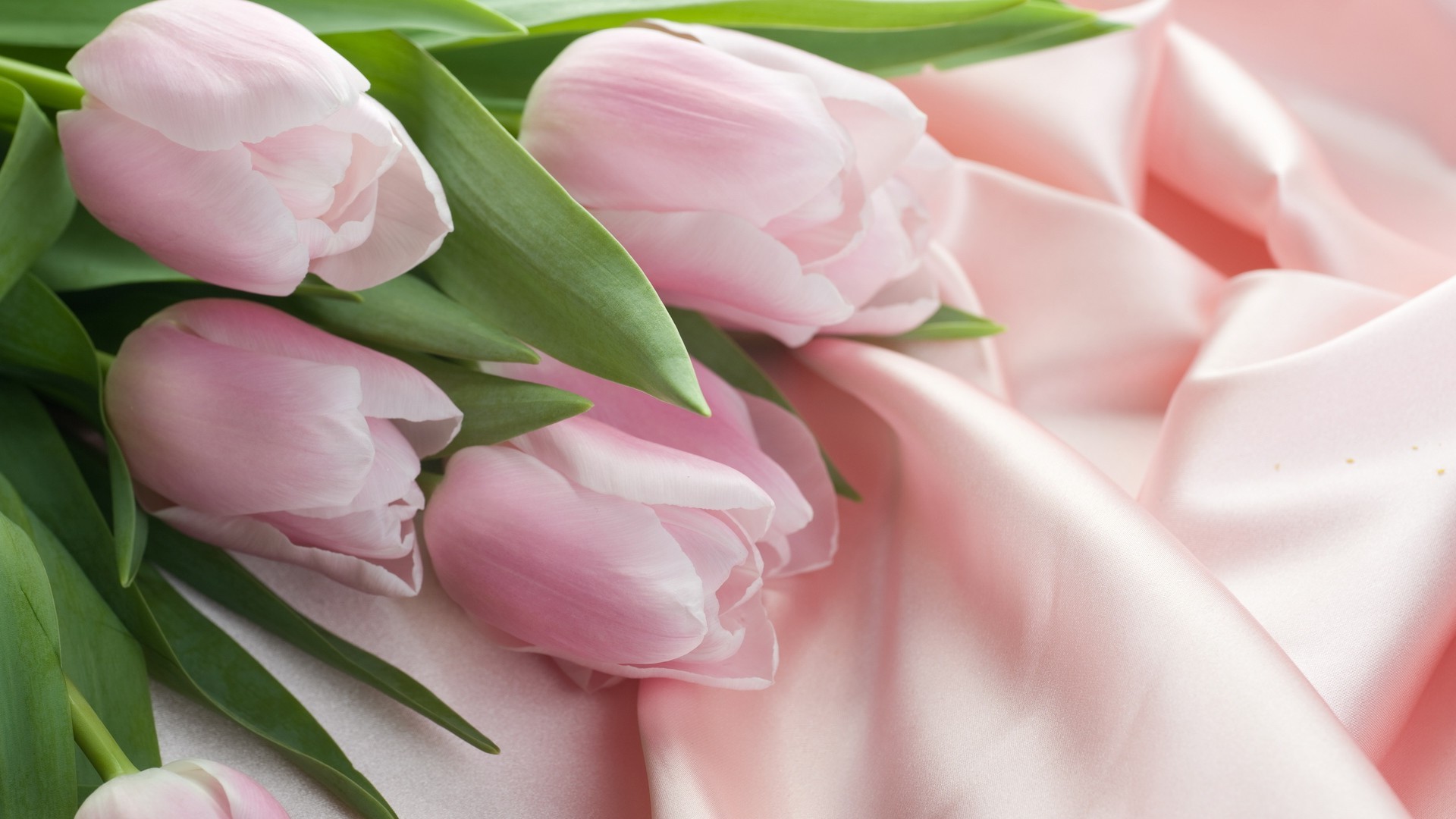 розы цветок природа любовь цветочные флора лист романтика букет подарок лепесток свадьба романтический красивые тюльпан блюминг пасха цвет юбилей