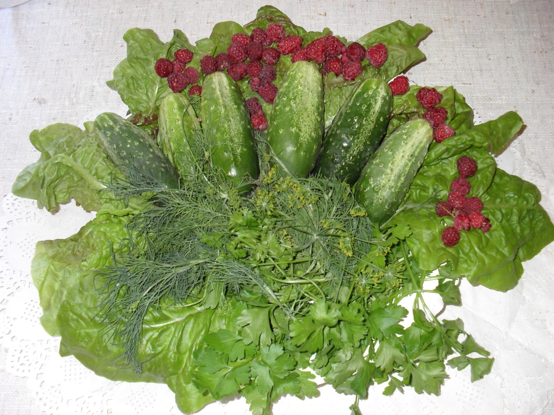 огород еда овощ лист здоровый салат расти салат здоровья флора природа огурец свежесть изолированные ингредиенты приготовление сад питание капуста