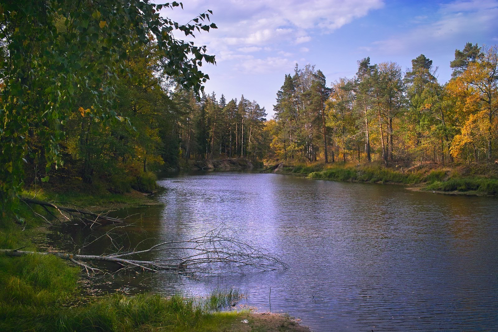 озера воды дерево осень река пейзаж природа древесины отражение на открытом воздухе лист живописный небо парк бассейн дневной свет хладнокровие путешествия
