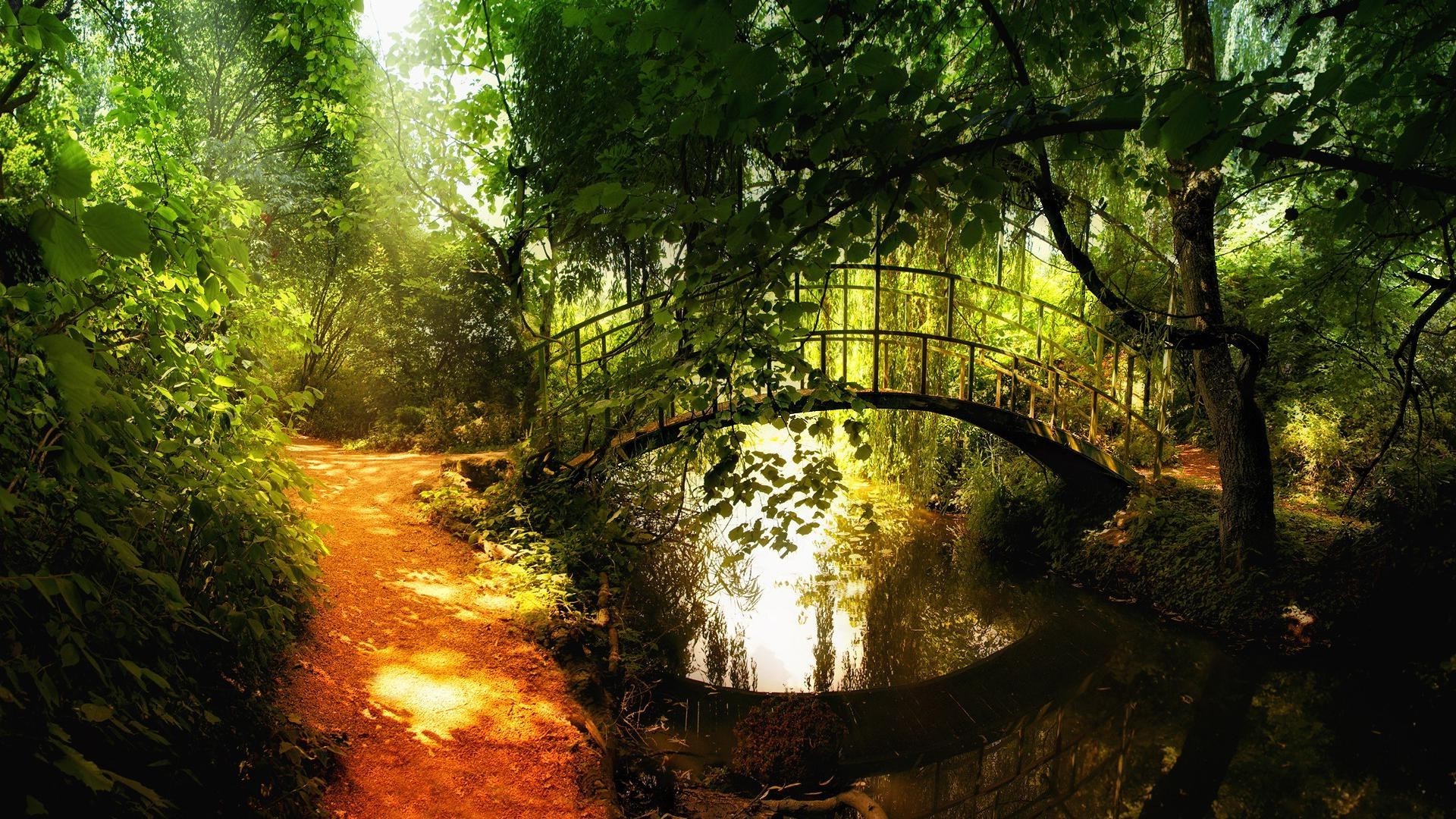креатив древесины дерево пейзаж лист природа парк свет среды путешествия пышные осень воды на открытом воздухе река рассвет хорошую погоду