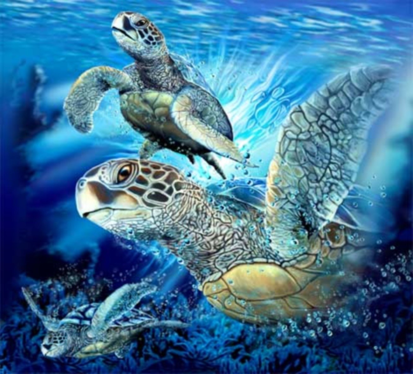 животные черепаха подводный гадина море морской океан риф водный тропический животное природа плавание коралловый дикой природы скуба воды дайвинг оболочка черепаха рыбы