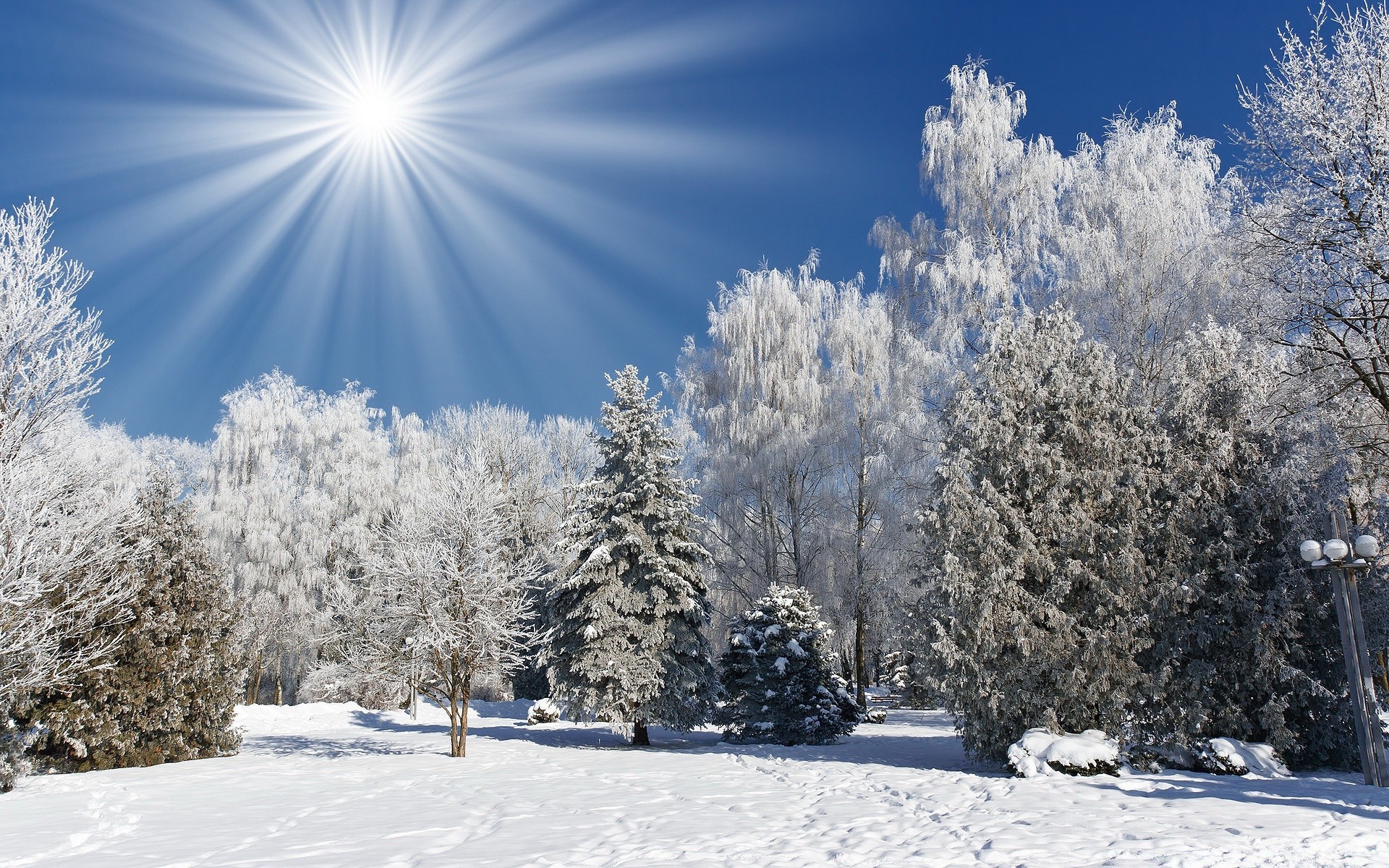 зима снег мороз холодная замороженные лед погода сезон древесины дерево рождество хорошую погоду пургу снег-белый морозный снежное пейзаж яркий