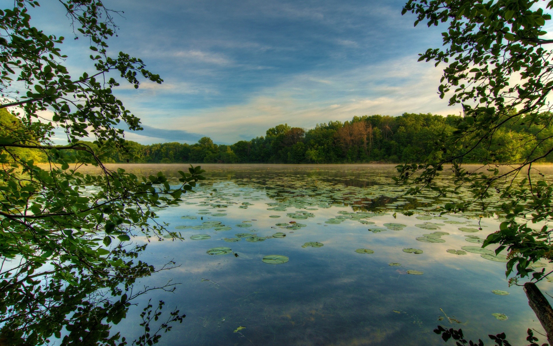 америка воды дерево пейзаж природа древесины река на открытом воздухе небо отражение озеро путешествия